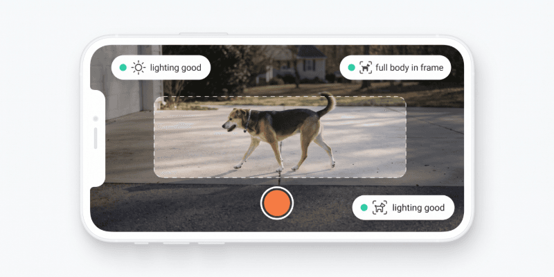 Record an 8–15 second walking clip