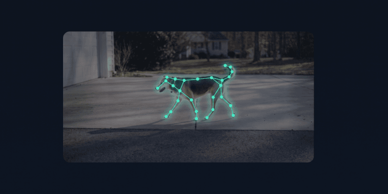 AI maps 25 anatomical keypoints